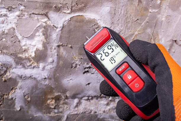 Best Local Mold Removal Service  in Rock Hill, NY